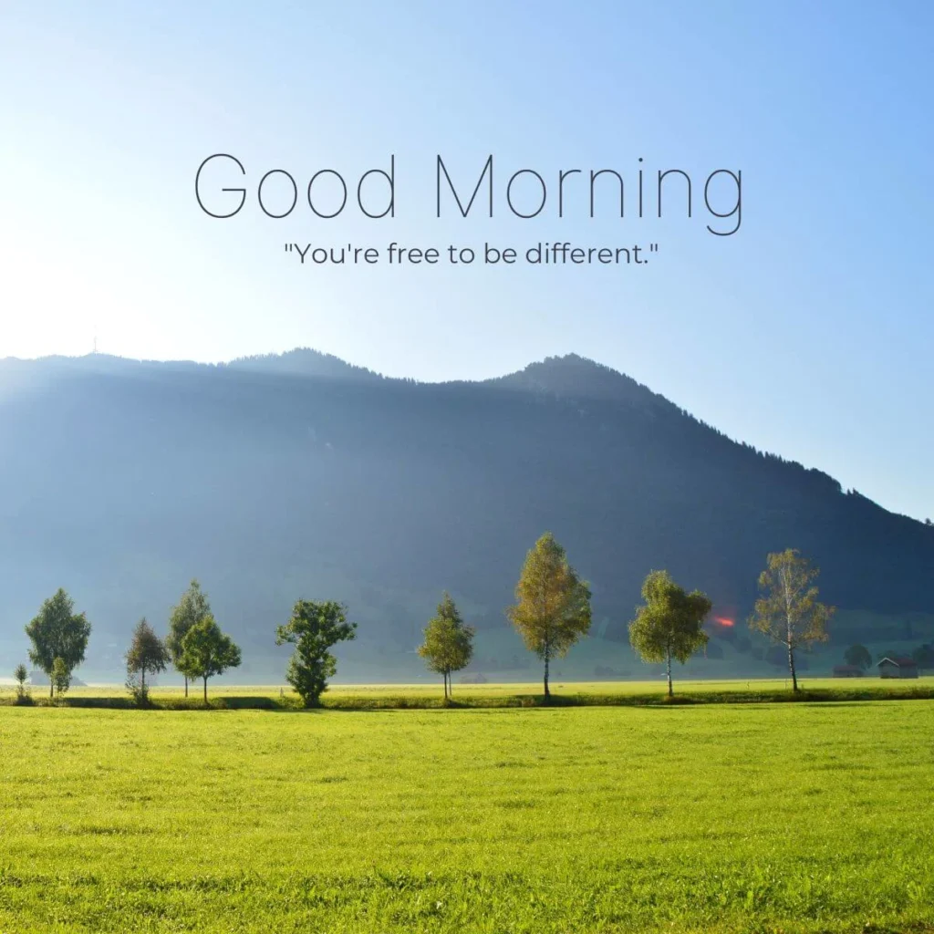 Good Morning Images HD